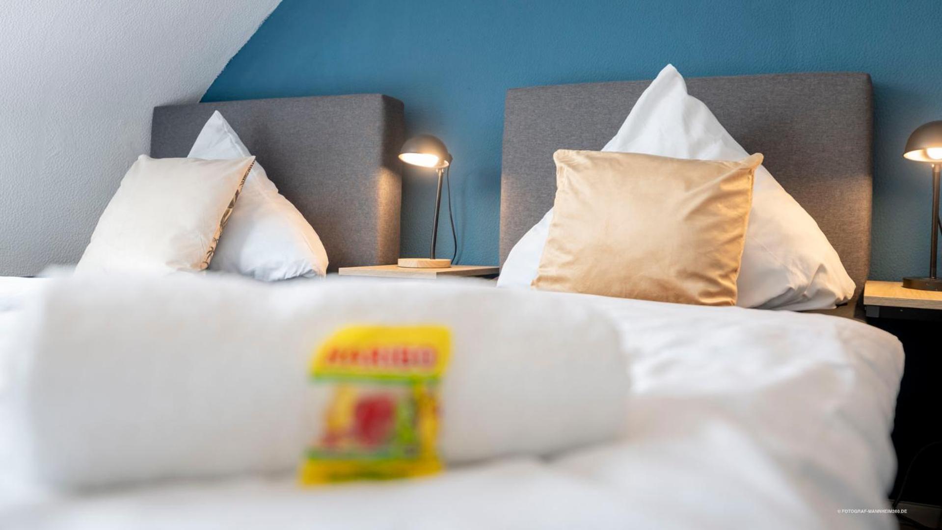 Xxl Design-Appartement Gardendesign Boxspring 8 Pers Zwischen Heidelberg Und Mannheim Edingen-Neckarhausen Zewnętrze zdjęcie